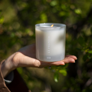 Le Prunier Candle