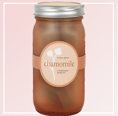 Garden Jar - Chamomile